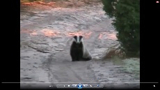 kliknij aby obejrzeć kliknij aby obejrzeć