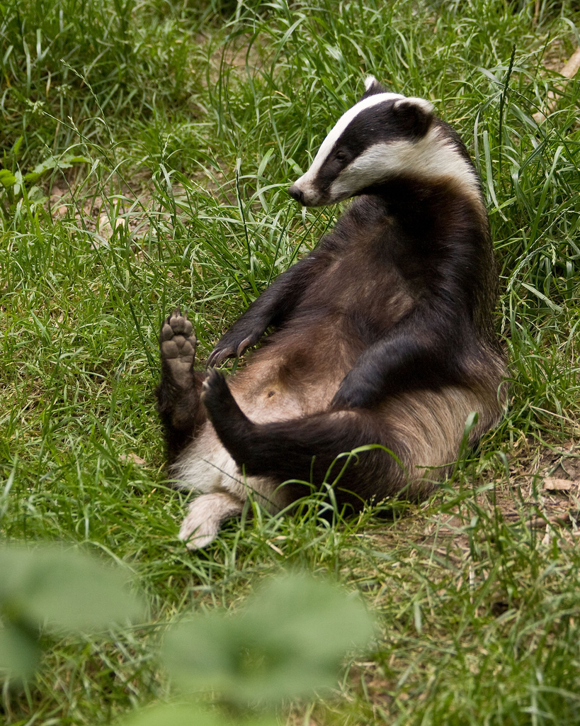 kliknij aby powiększyć kliknij aby powiększyć