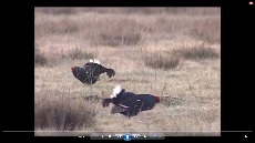 kliknij aby obejrzeć kliknij aby obejrzeć