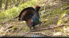 kliknij aby obejrzeć kliknij aby obejrzeć